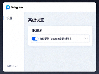 Telegram桌面版设置中自动更新选项界面截图 - 展示高级设置中的自动更新开关